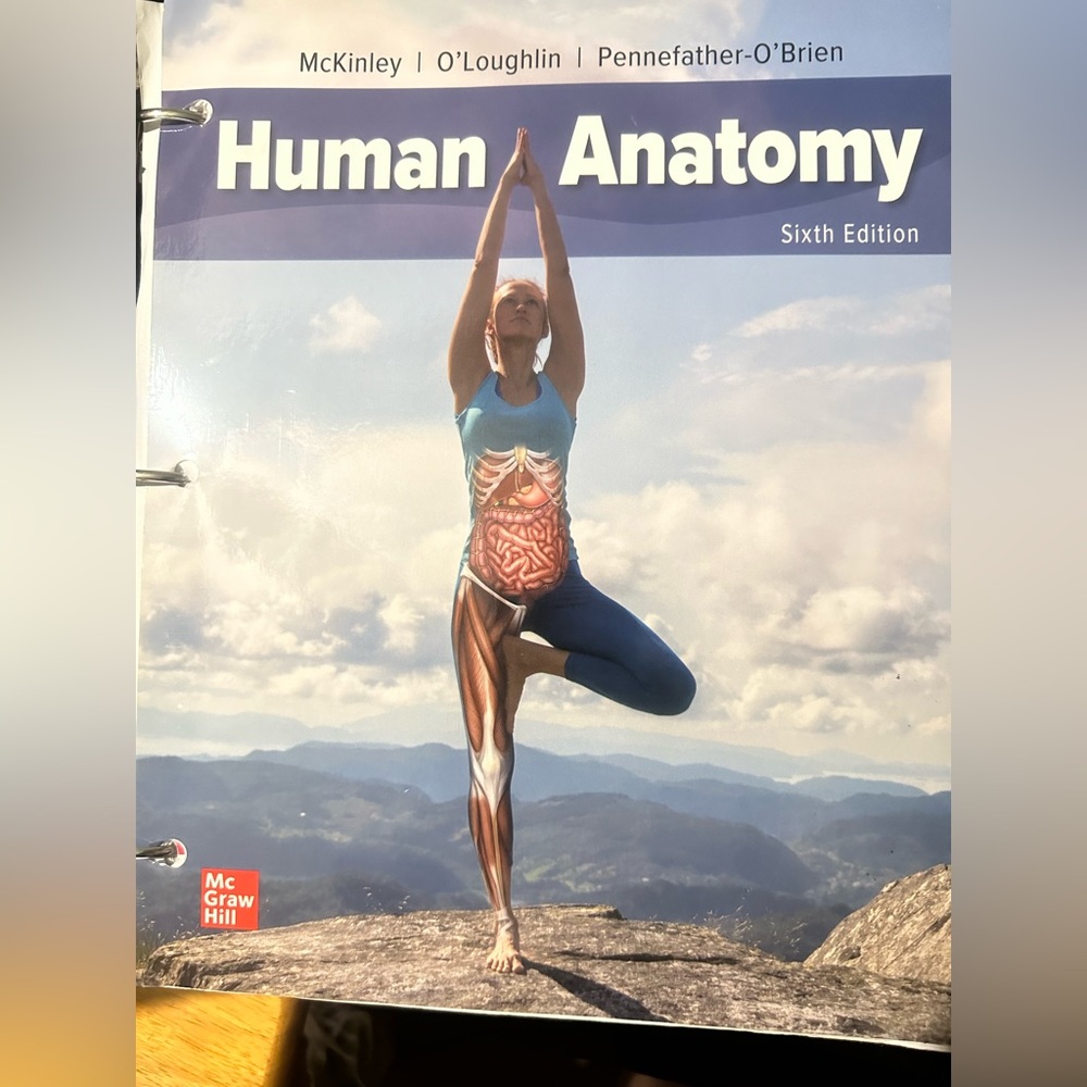 Anatomy Textbook